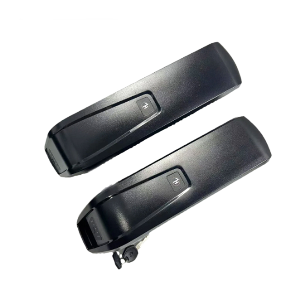 Fatbike VOMO X80 Ebike battery - đánh giá và giá Ebike Battery 48V 20Ah Hailong